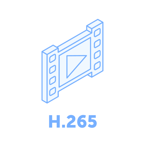 BrightSign Key Features &#8211; H.265